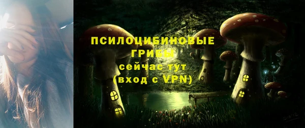 марки nbome Аркадак