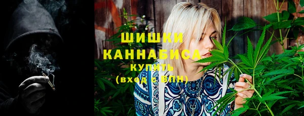 дживик Осташков